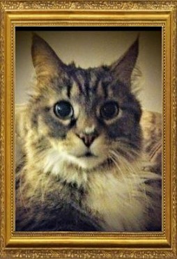 Tiger George -1999-2016